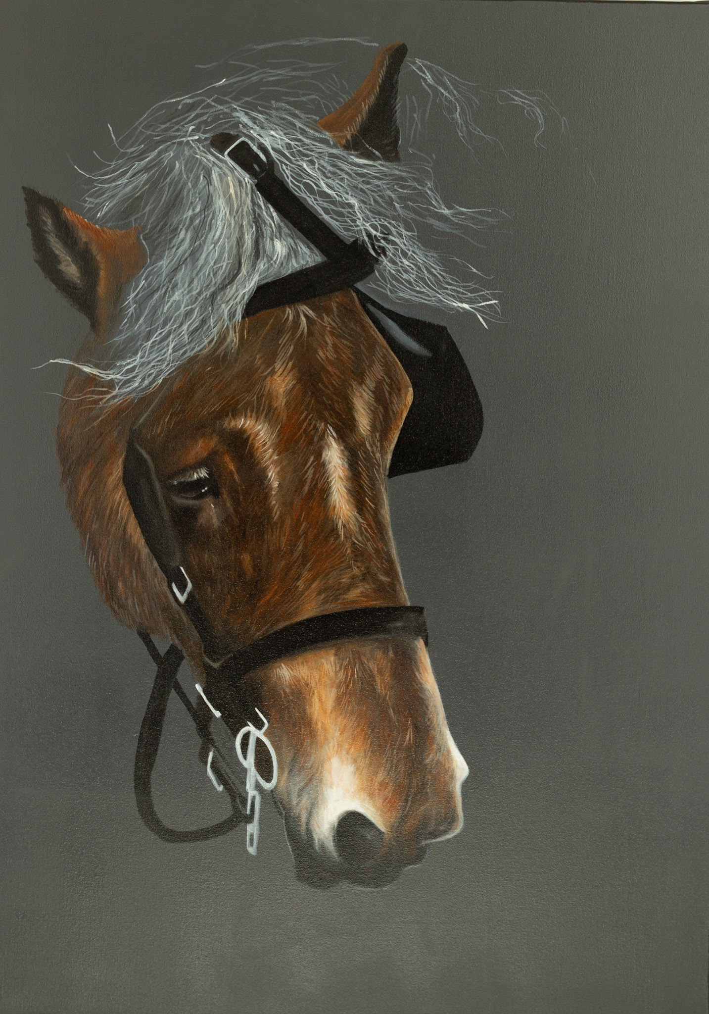 "KRACHT" 70x100 cm