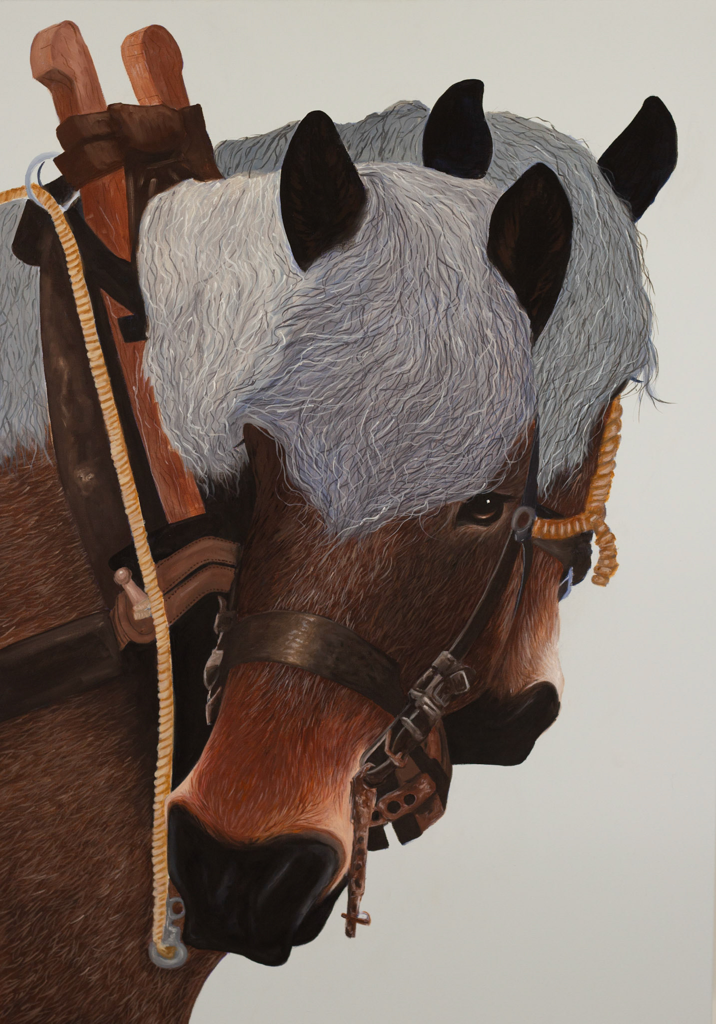 "KRACHT" 70x100 cm