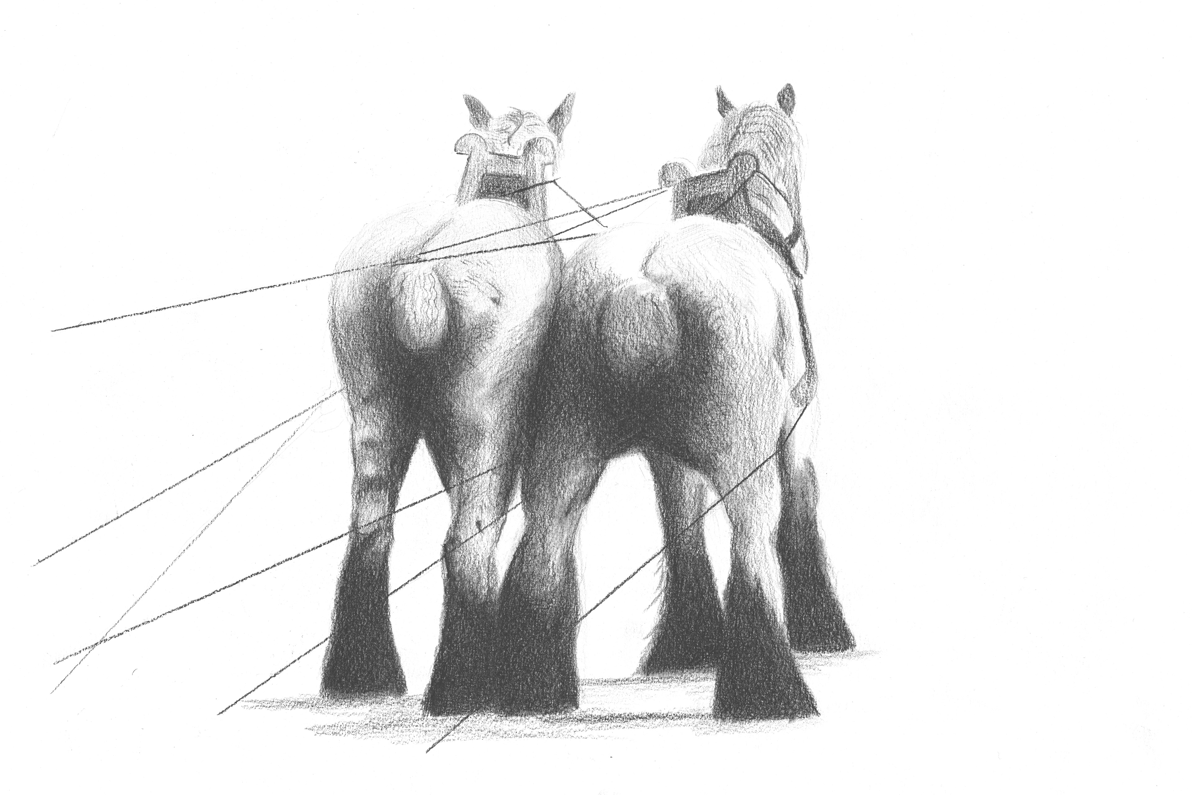 Tekening 20cm x30 cm : Ingelijst