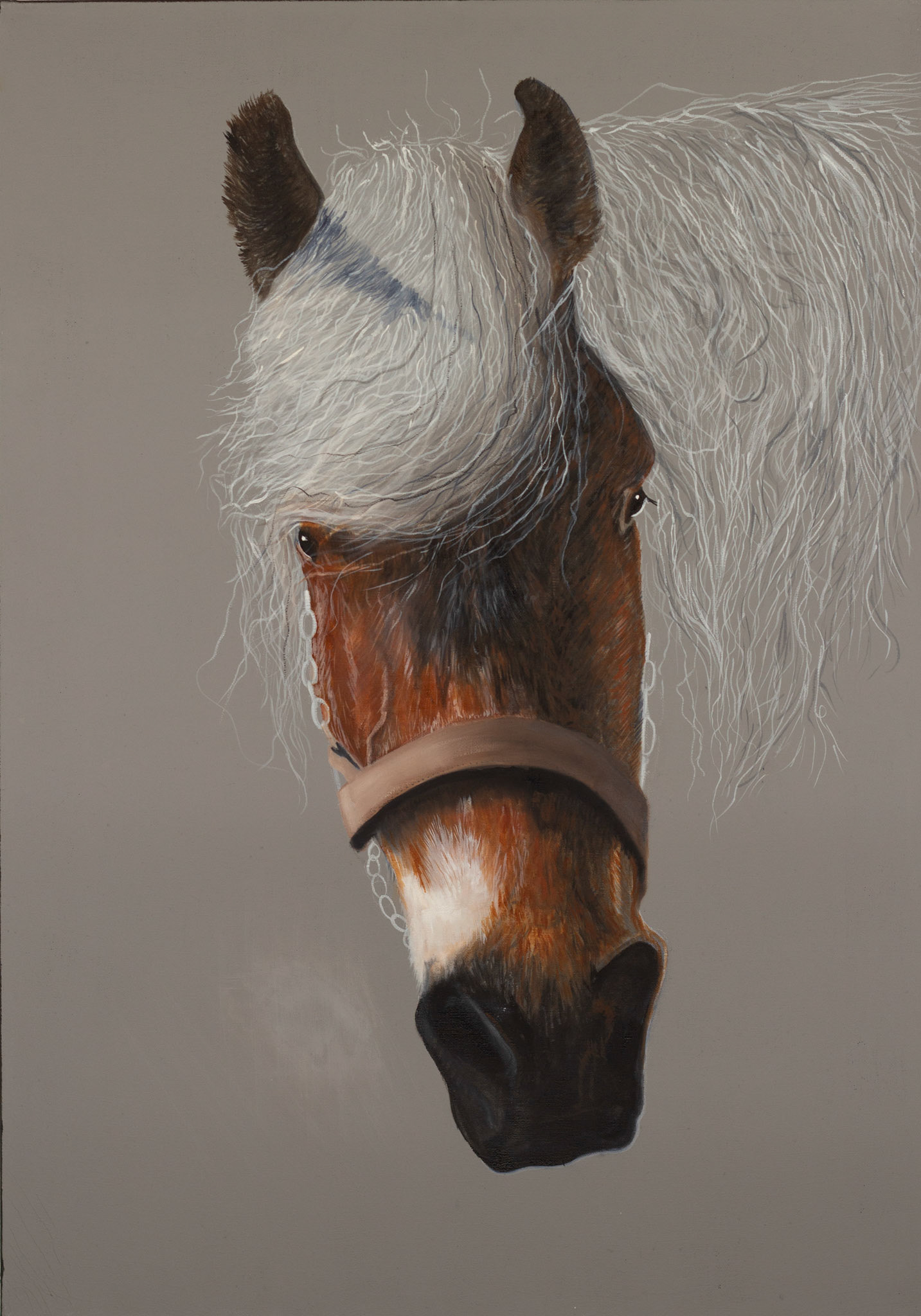 "KRACHT" 70x100 cm