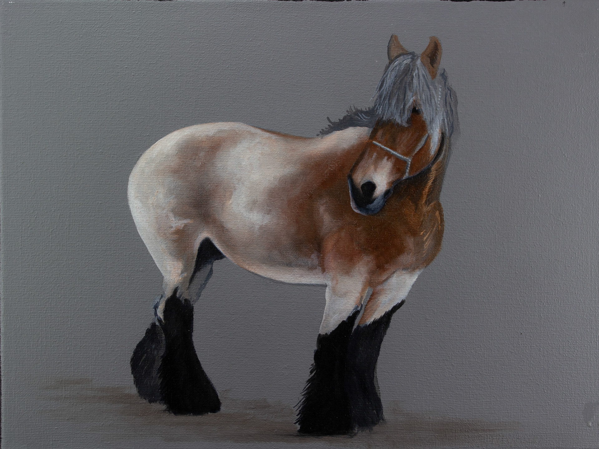 "KRACHT" 30cm x 40cm