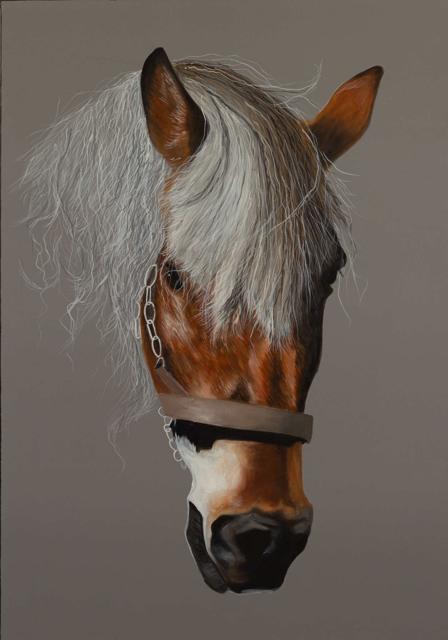 "KRACHT" 70x100 cm