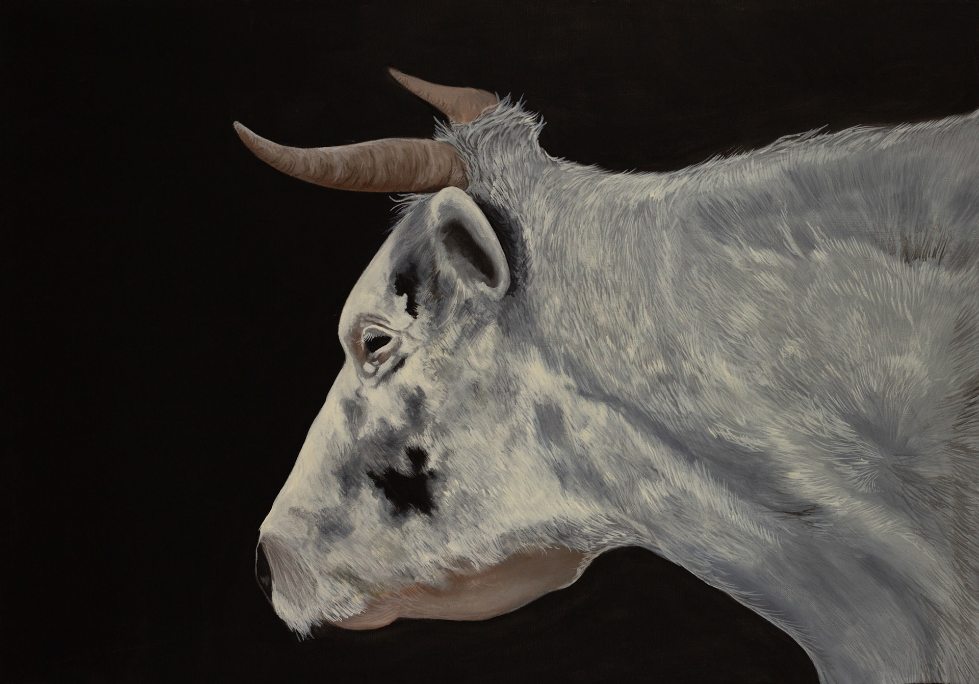 "KRACHT" 70x100 cm