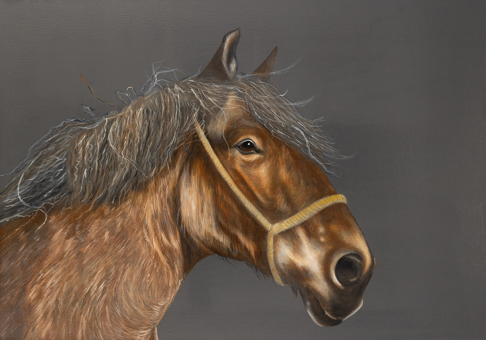 "KRACHT" 70x100 cm