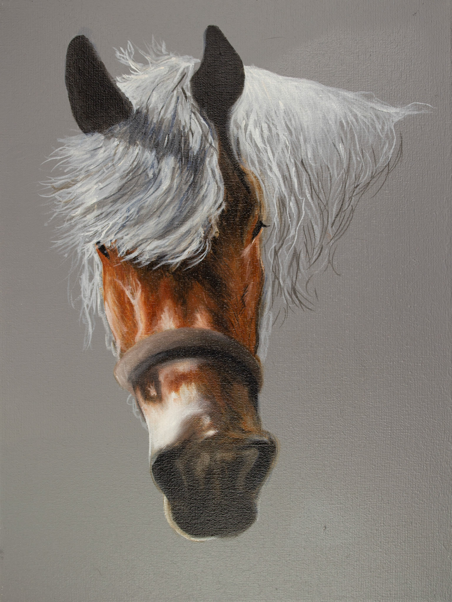 "KRACHT" 30cm x 40cm