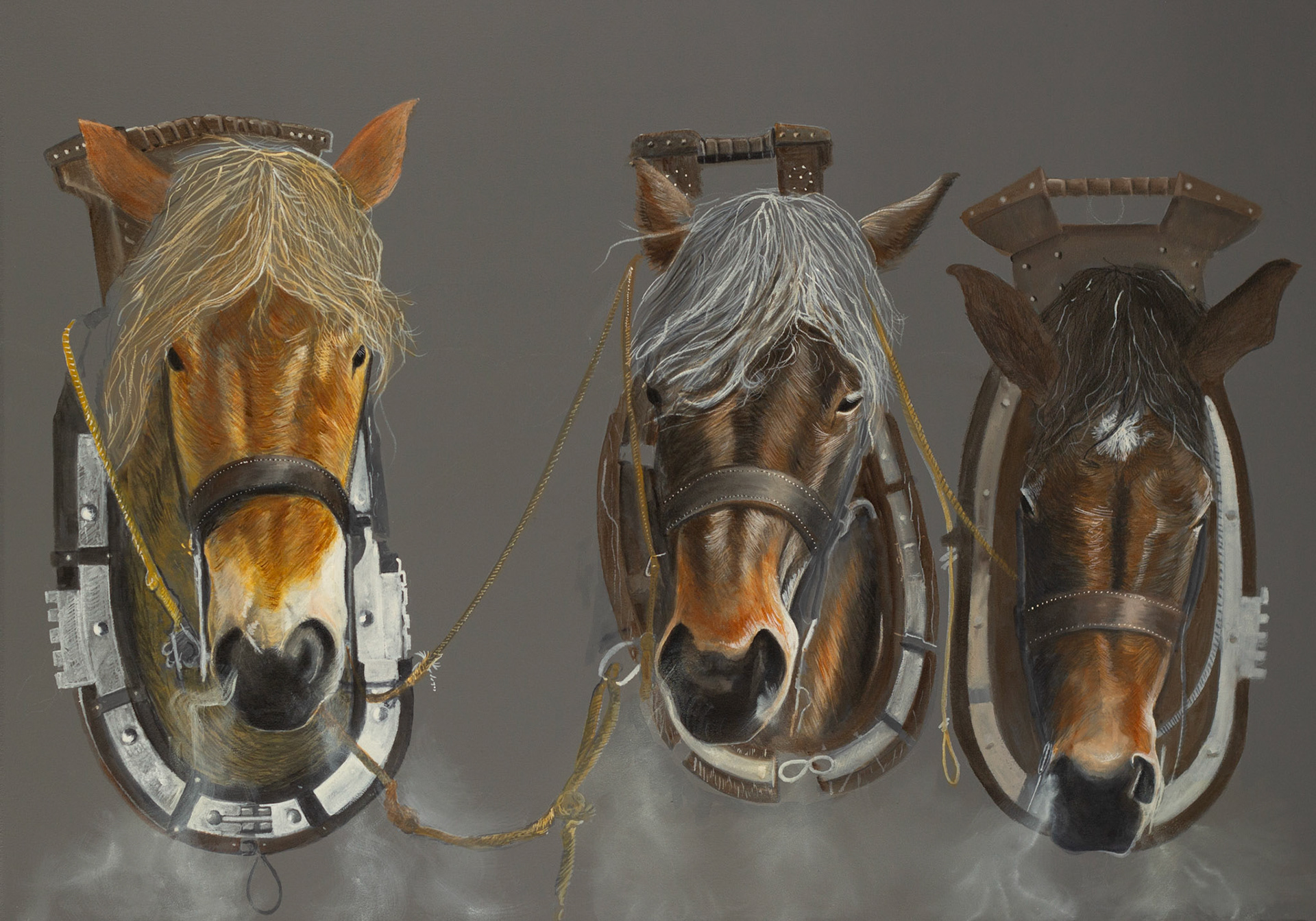 "KRACHT" 70x100 cm