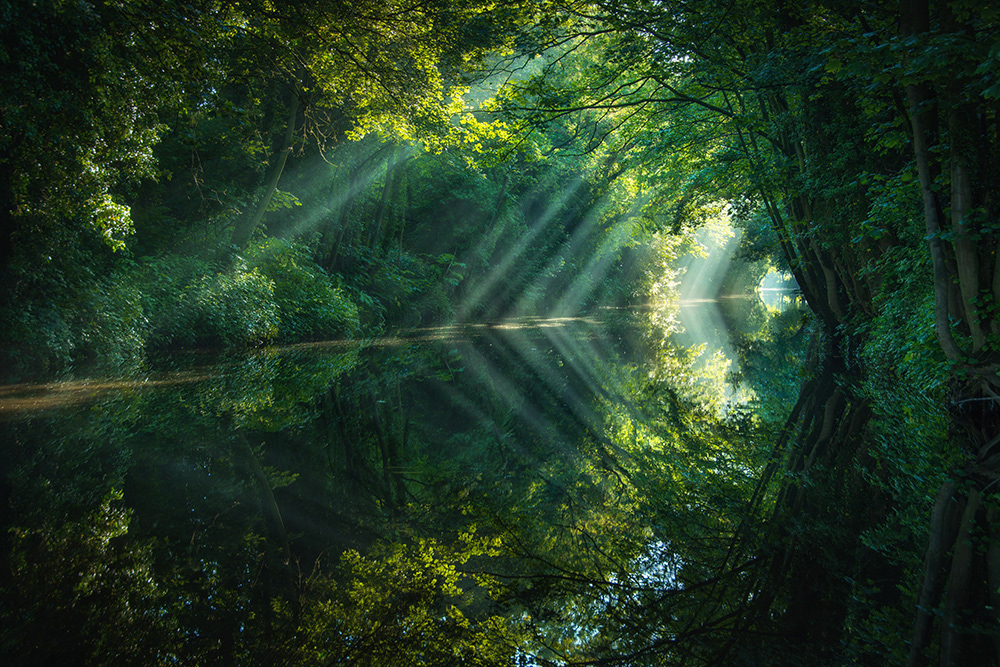 Canal Light Rays