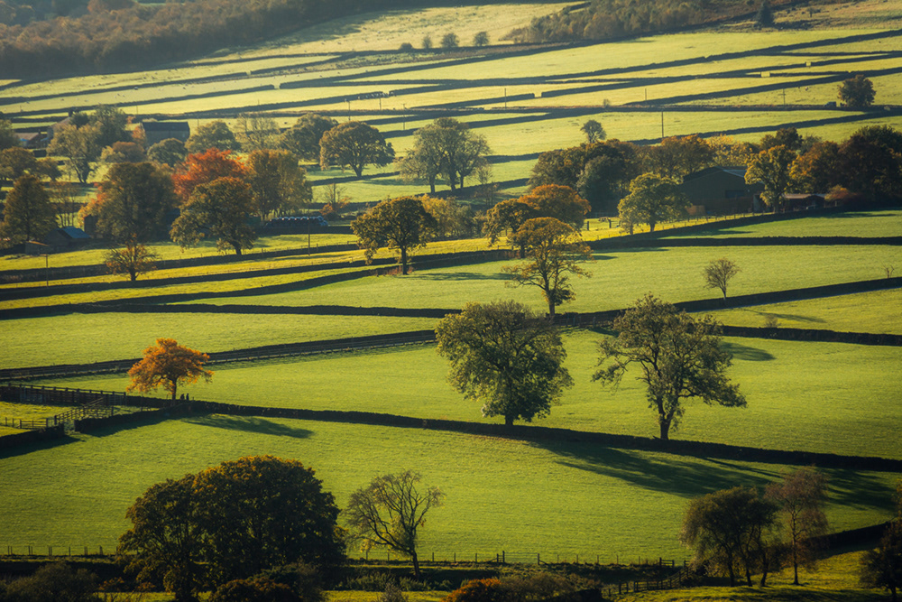 Green fields of Summerbridge