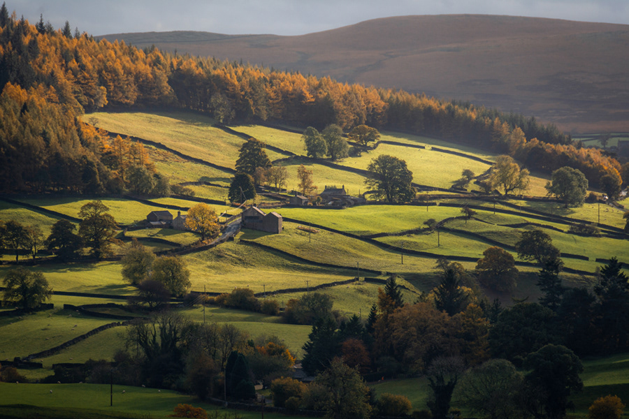 Green fields of Barden
