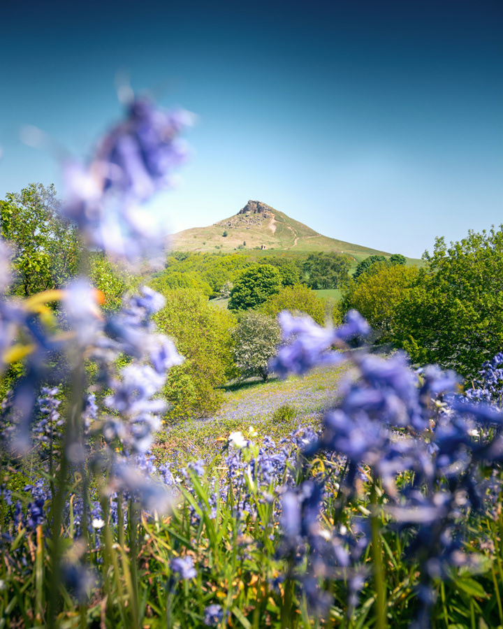 Roseberry Topping