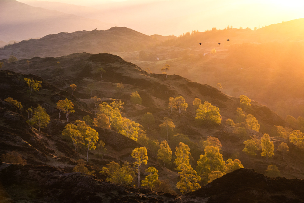Golden Light at Holme Fell