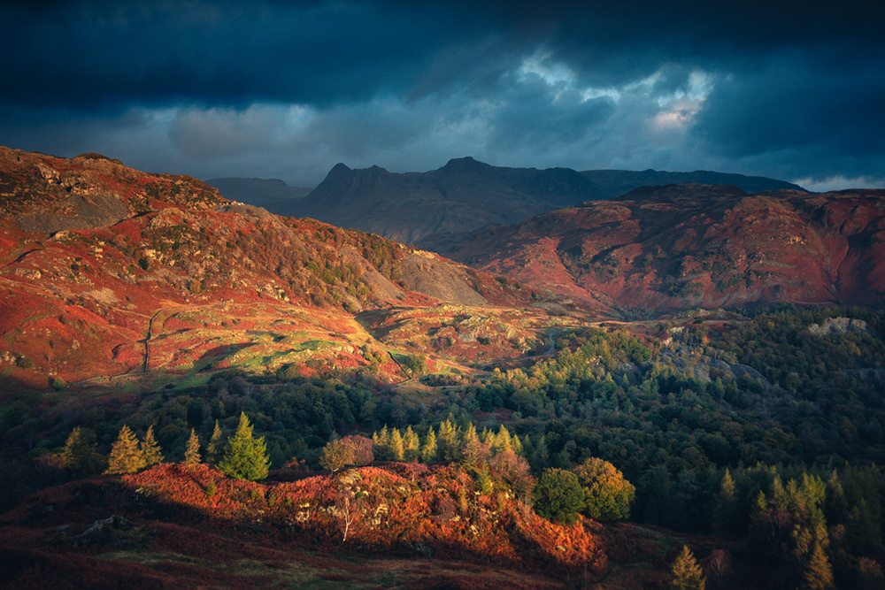 Holme Fell