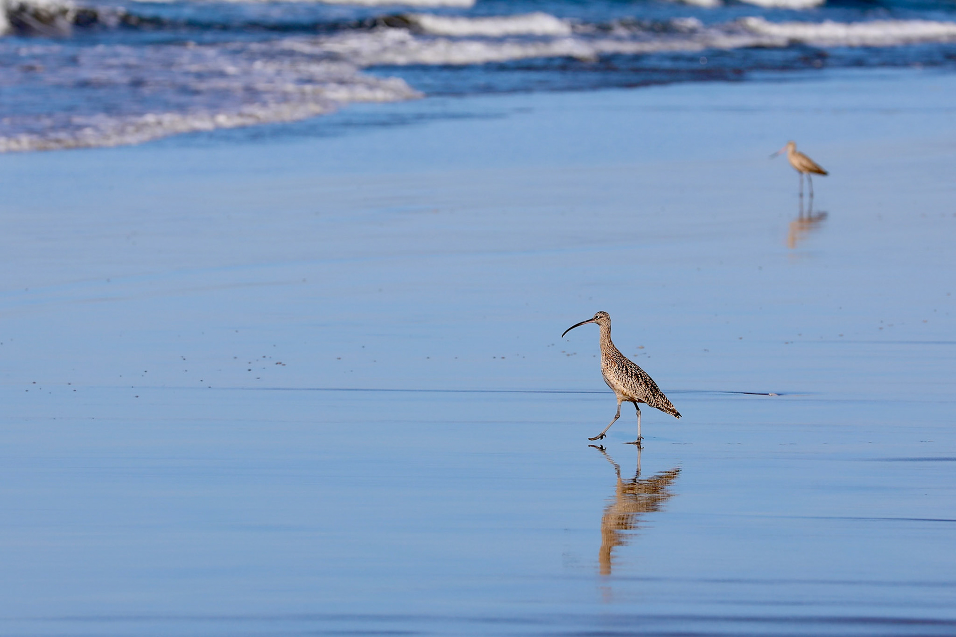 Pajaro Dunes, CA