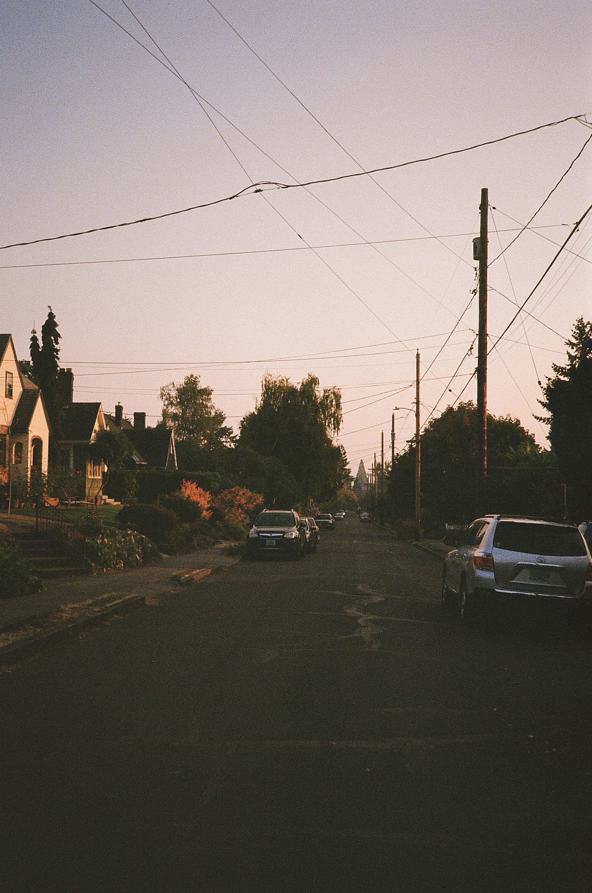 PDX