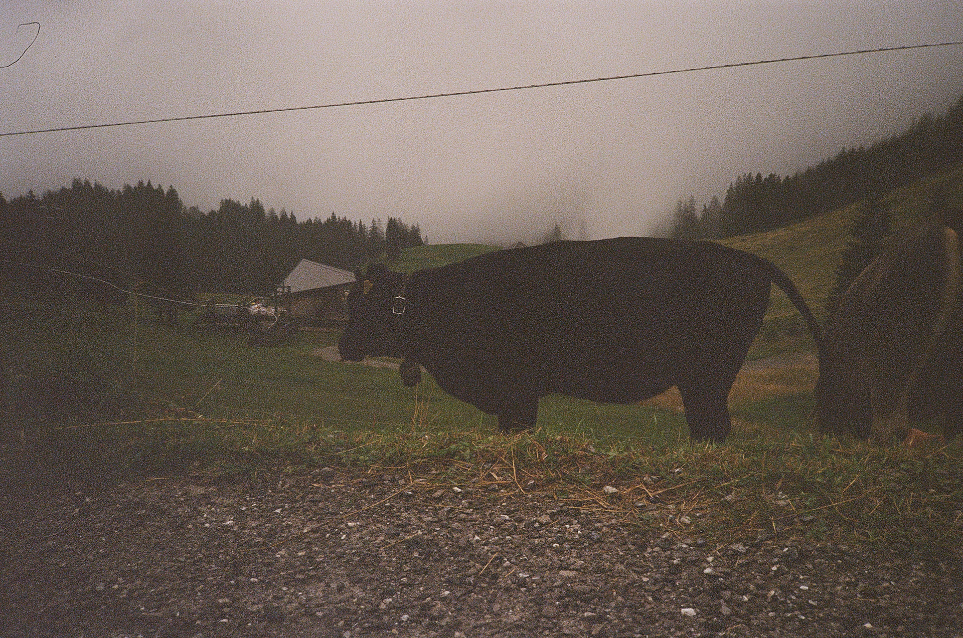 LUCERNE