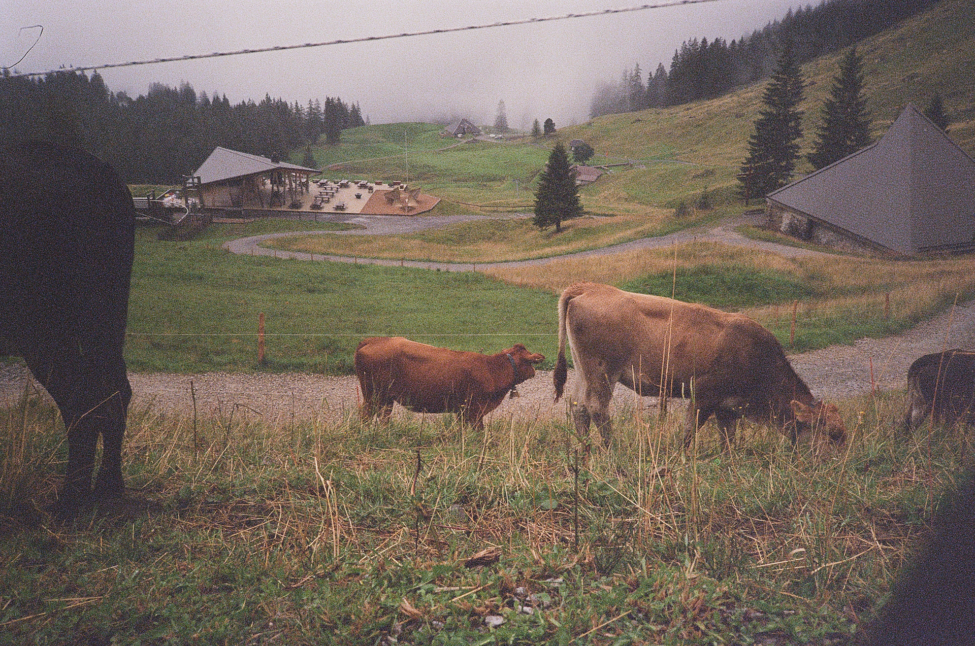 LUCERNE