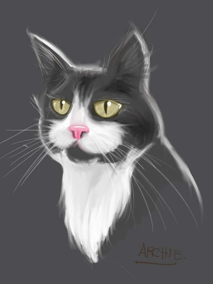 archie the cat (digital)