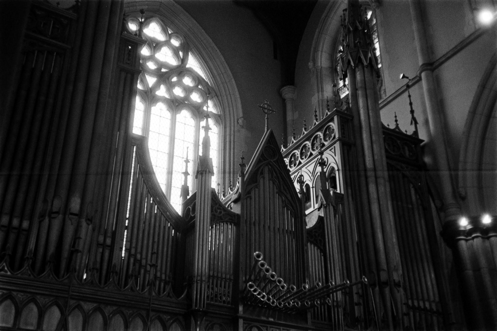 Olympus 35RC | Ilford HP5 400Lab developed in FilmNeverDie