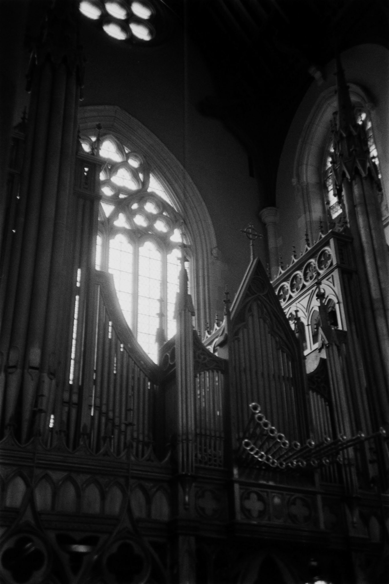 Olympus 35RC | Ilford HP5 400Lab developed in FilmNeverDie