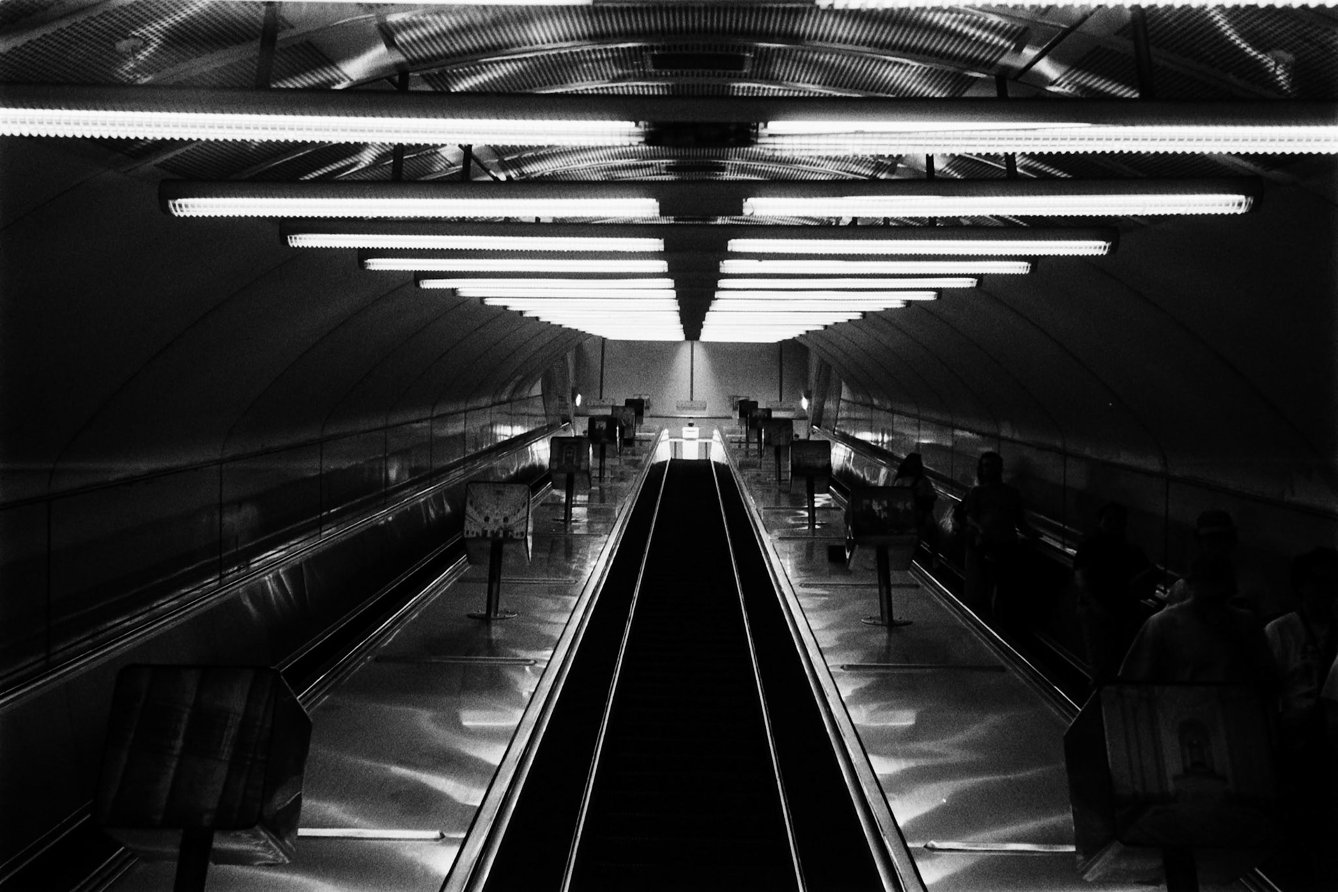 Olympus 35RC | Ilford HP5 400Lab developed in FilmNeverDie