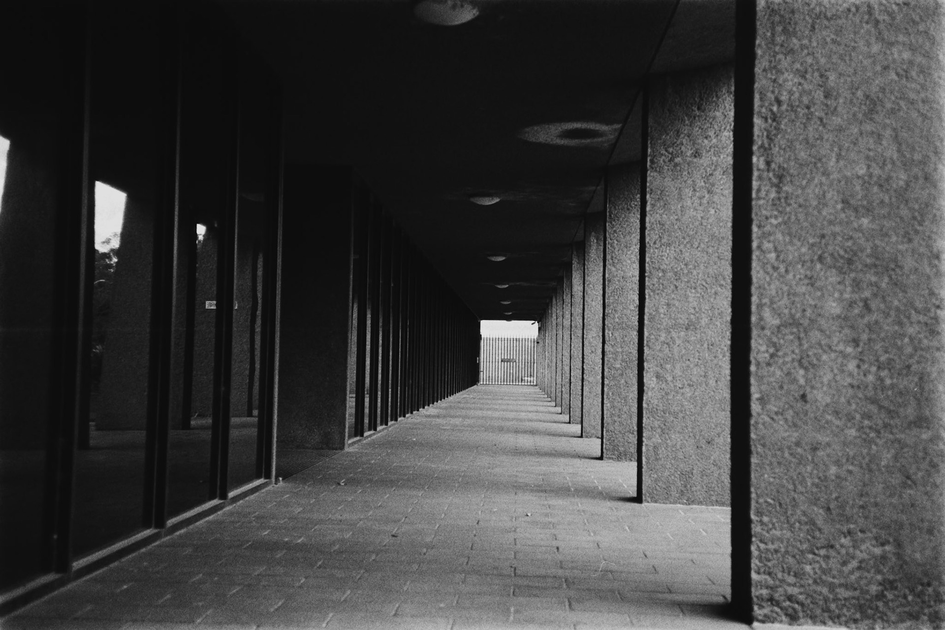 Olympus 35RC | Ilford HP5 400Lab developed in FilmNeverDie