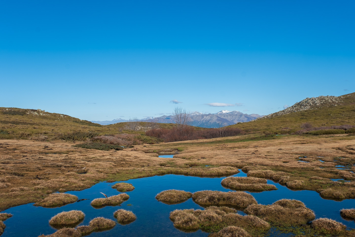 Pozzines du Plateau du Coscione
