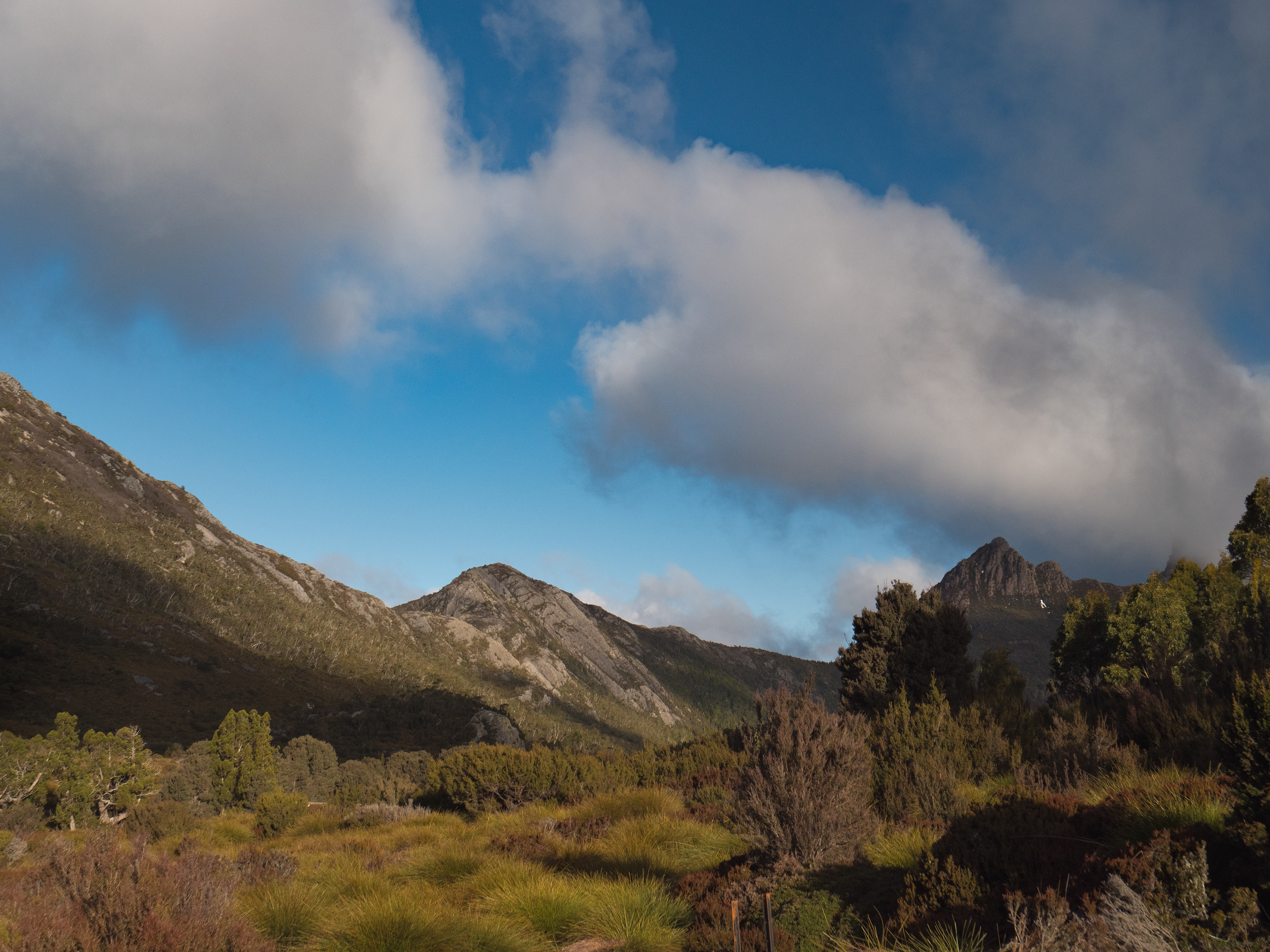 TASMANIA