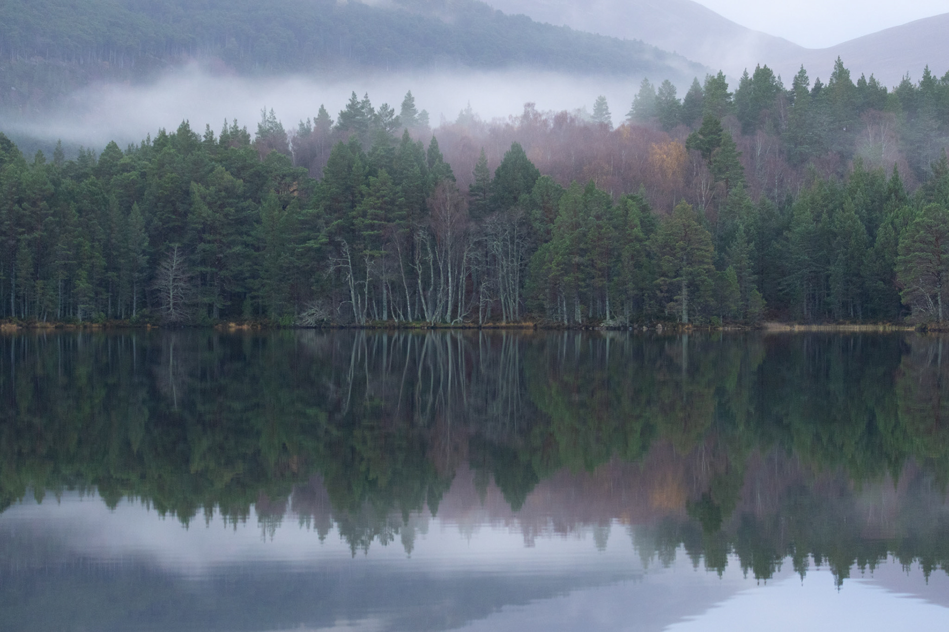 Reflection, Schottland, 2023