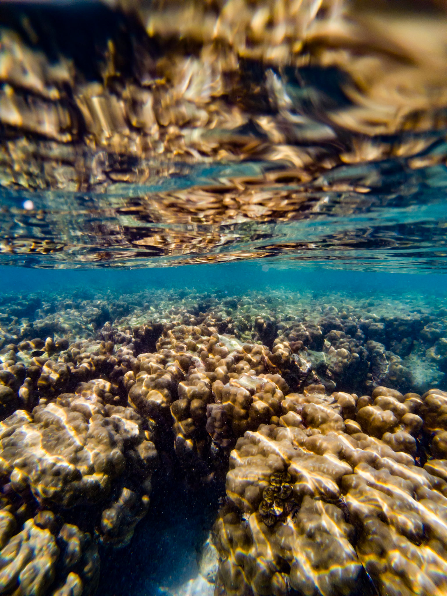 C:\DCIM\100GOPRO\GOPR3790.GPR