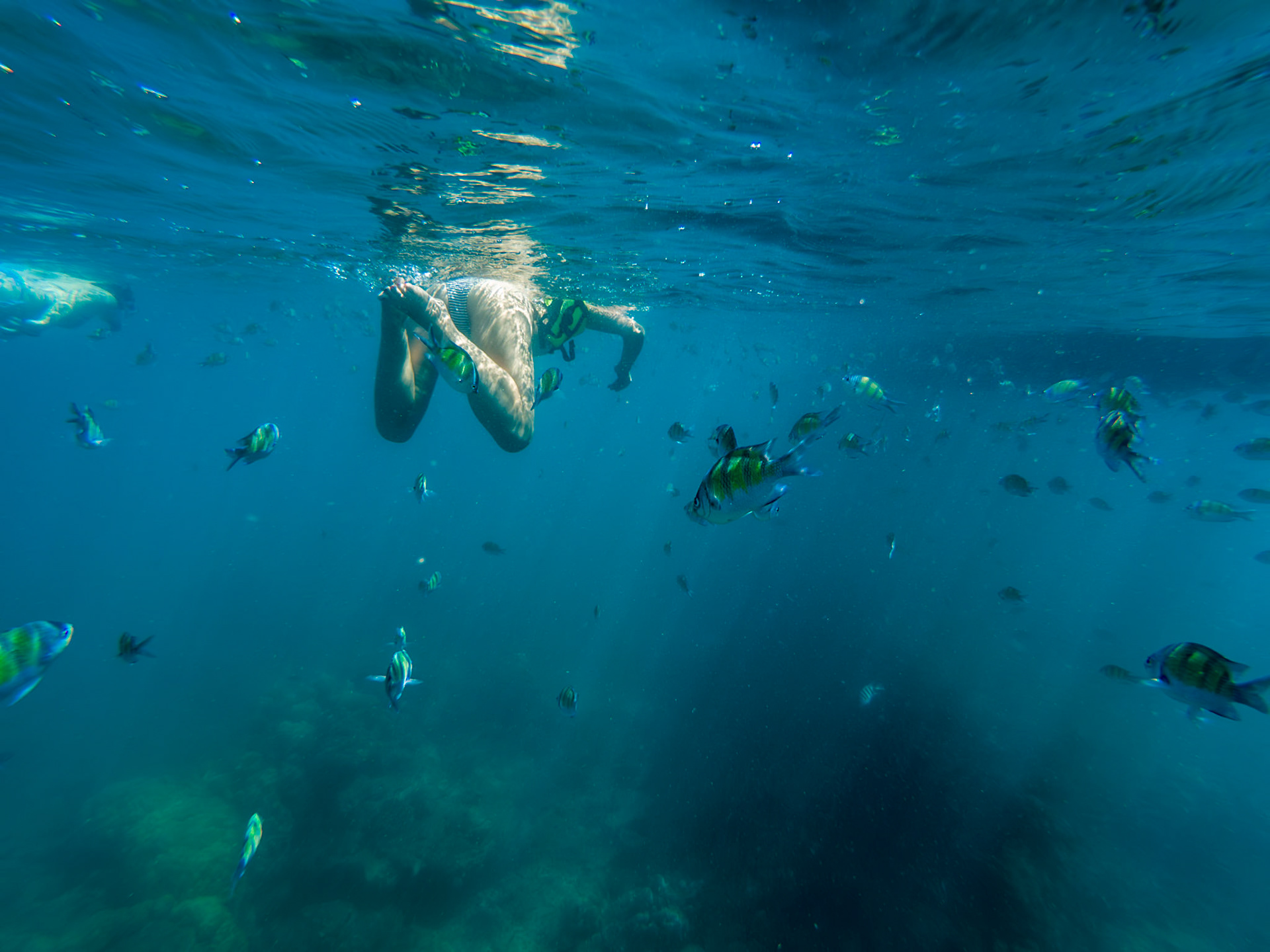 C:\DCIM\100GOPRO\GOPR3224.GPR