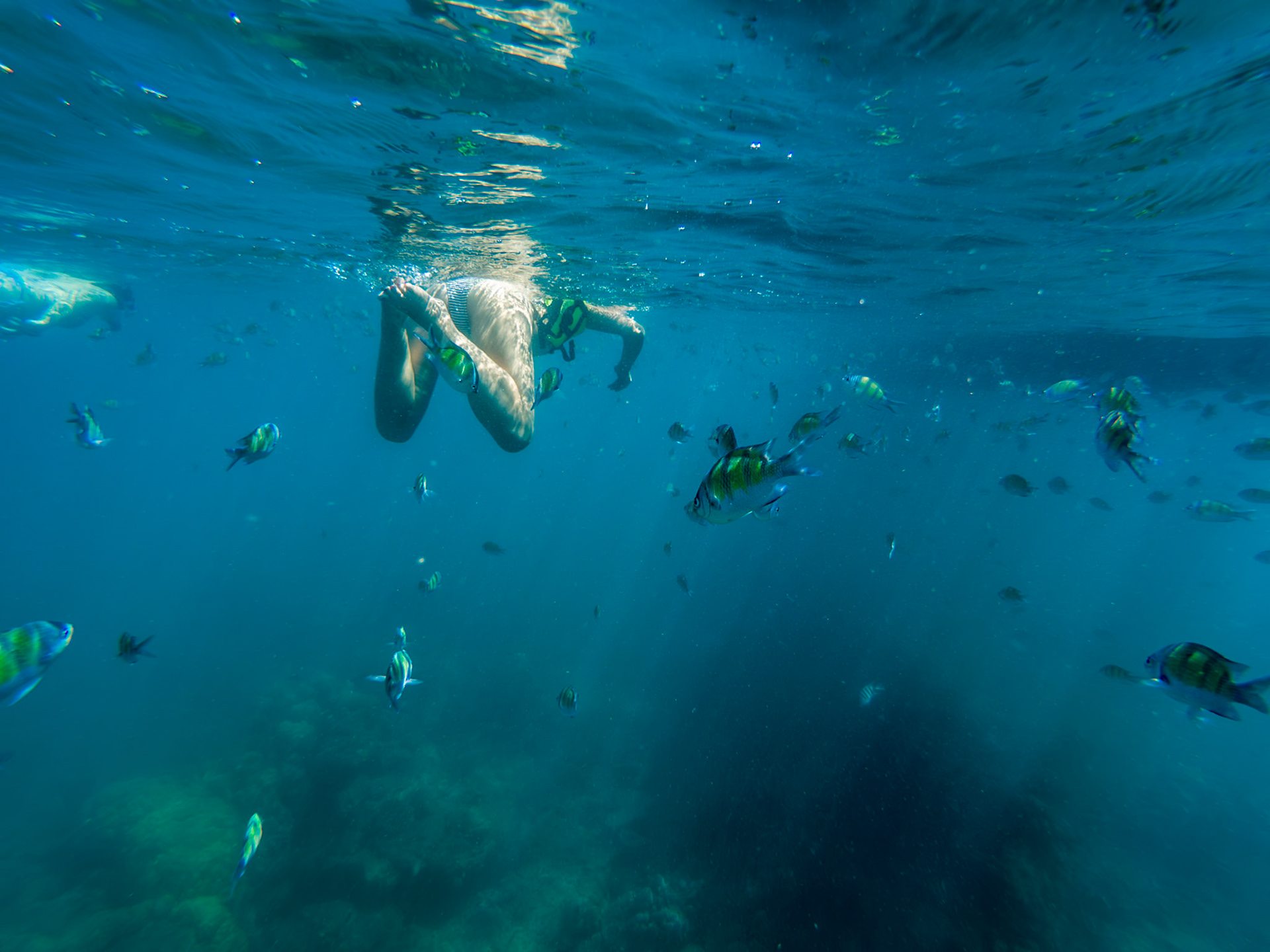 C:\DCIM\100GOPRO\GOPR3224.GPR