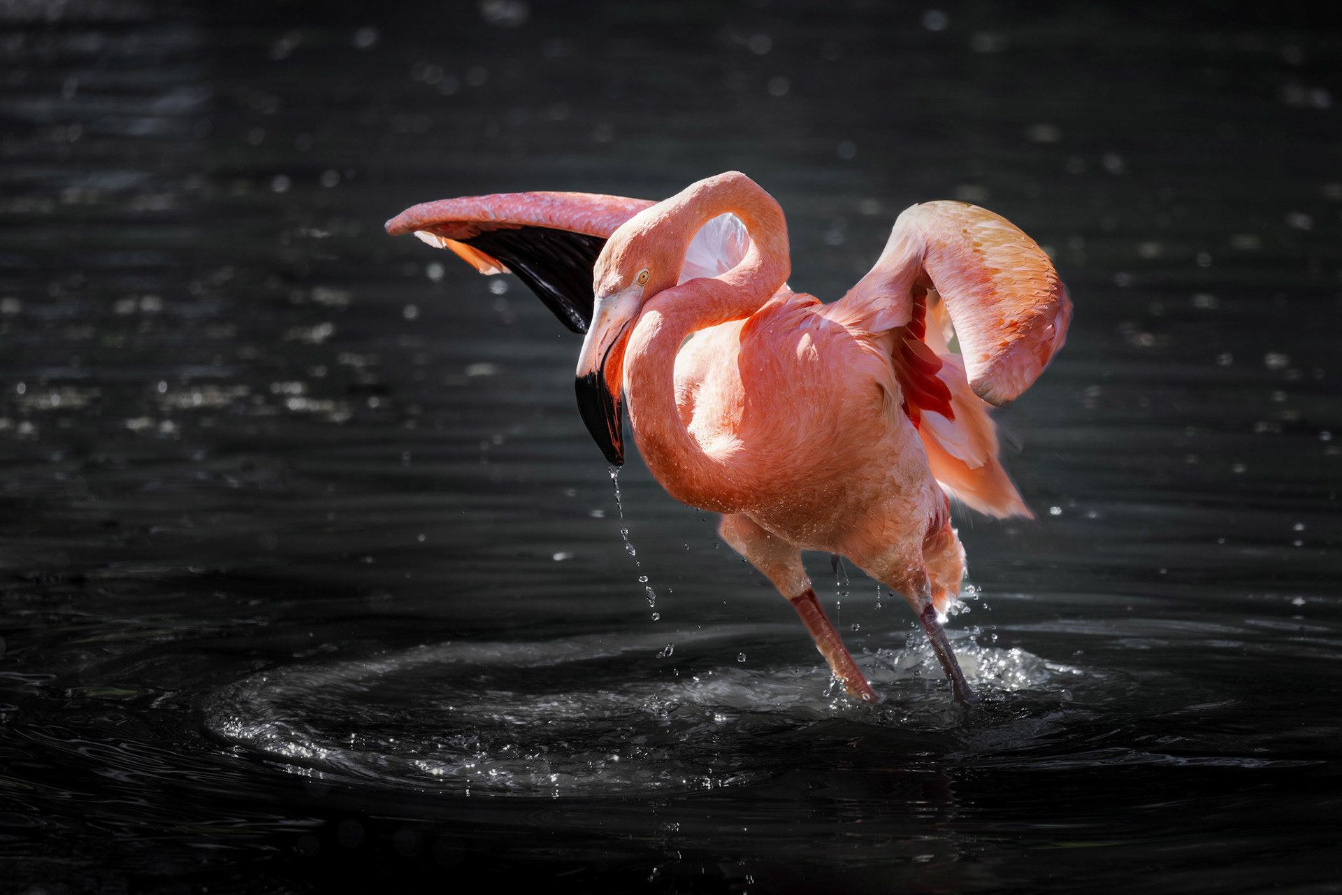 Klaus Pichler "zwischen Wasser und Himmel"