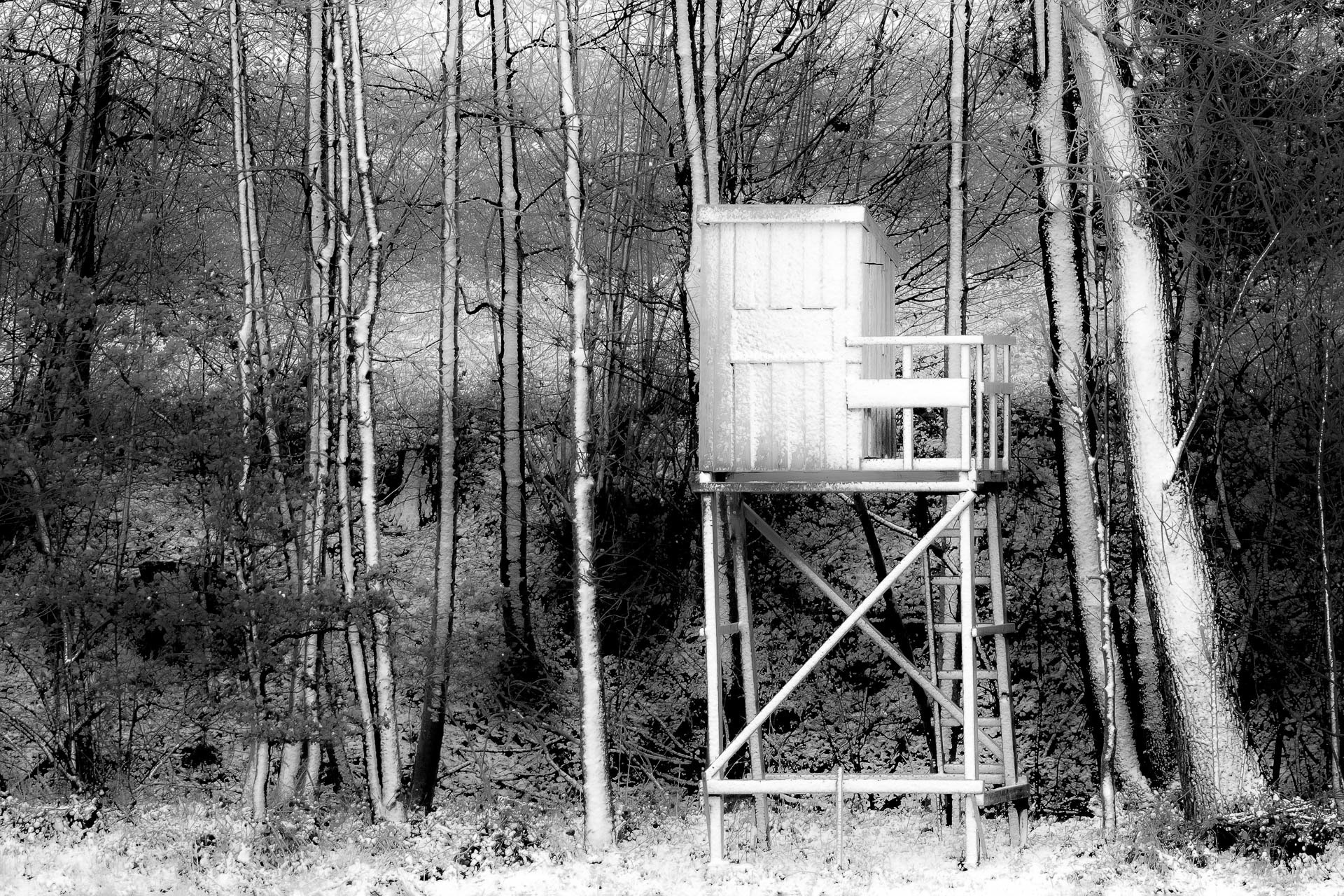 Franz  Haunschmied "Schneesturm"