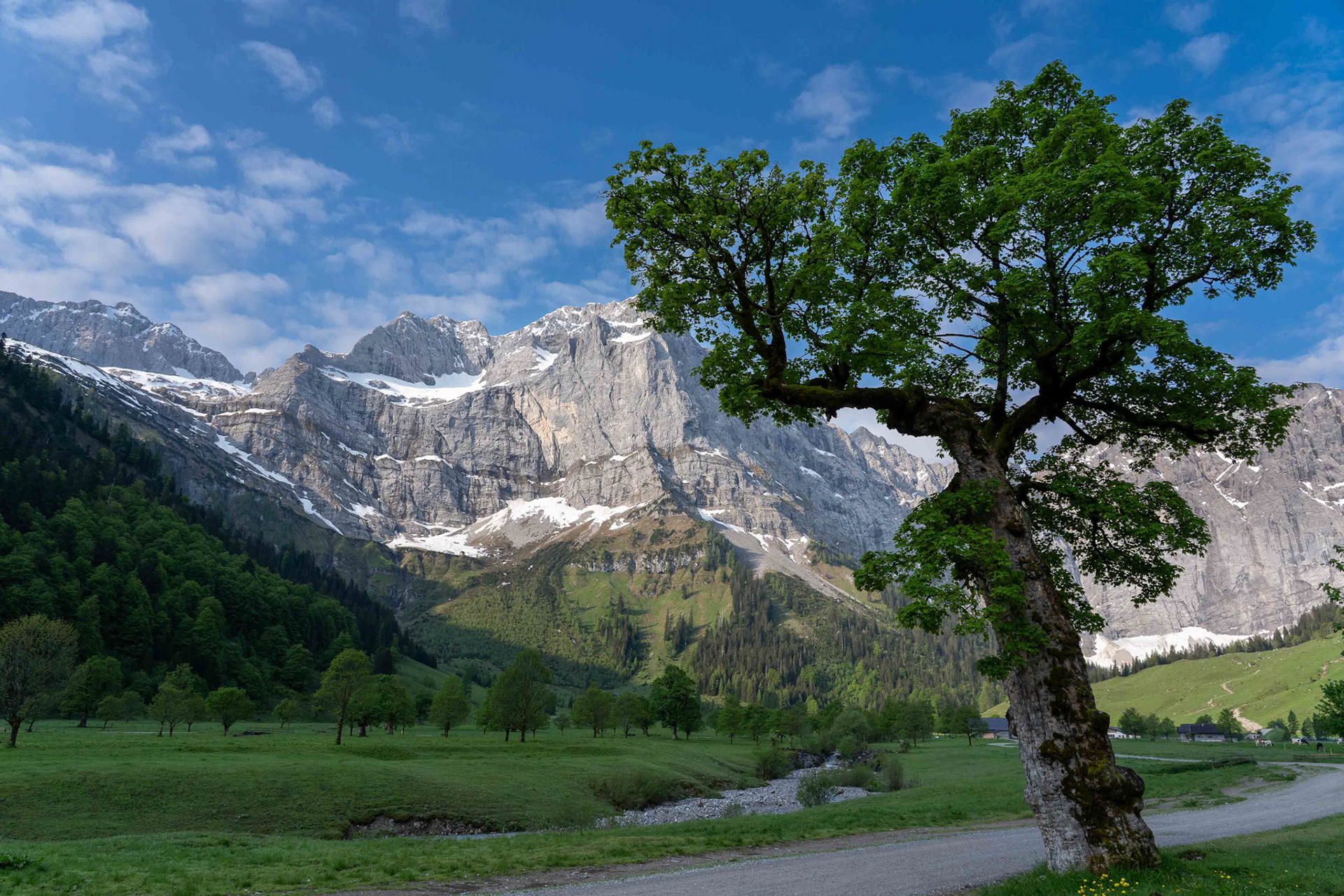 Markus Trausinger "Ahornboden"