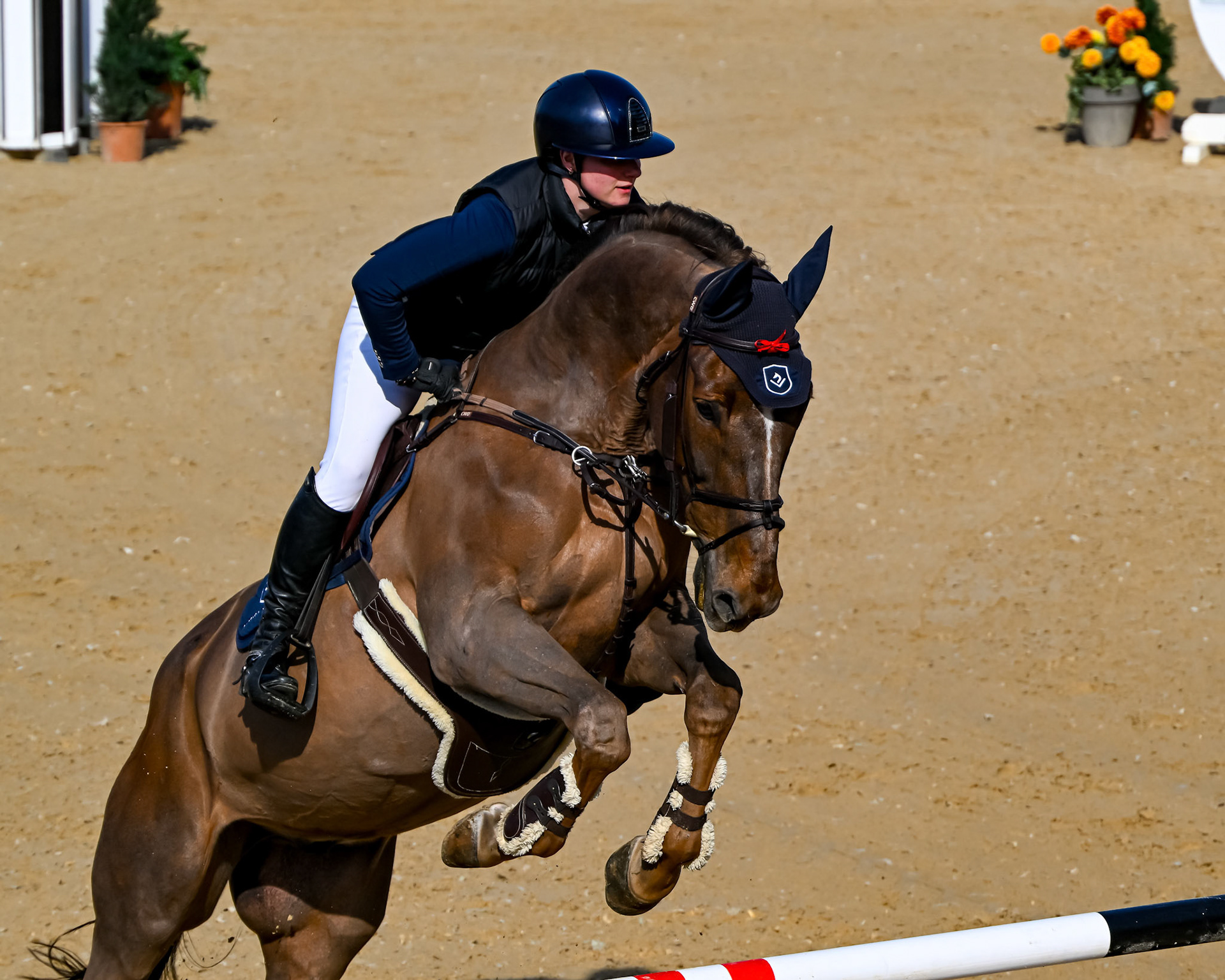 Franz Hebenstreit "Springreiten"