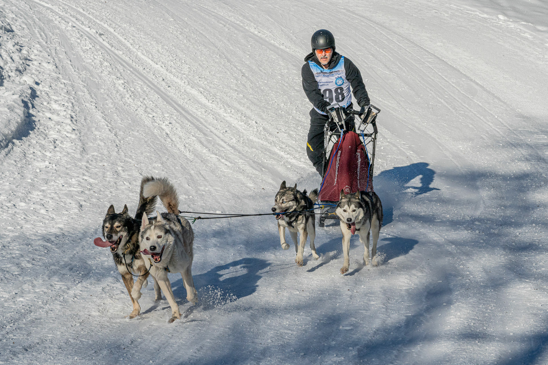 Franz Stiglbauer "Huskyrennen"