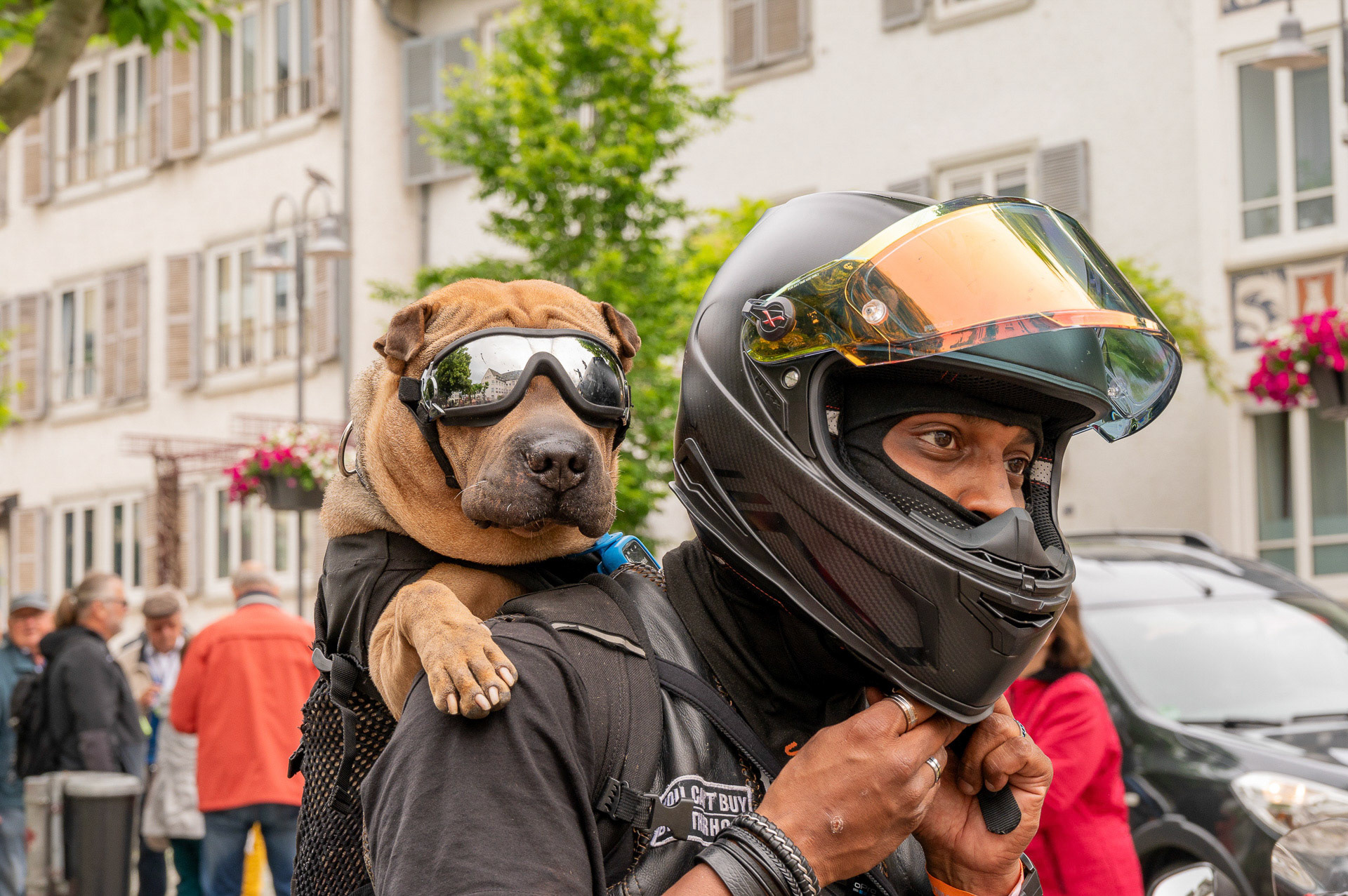 Franz  Stiglbauer "zwei echte Biker"