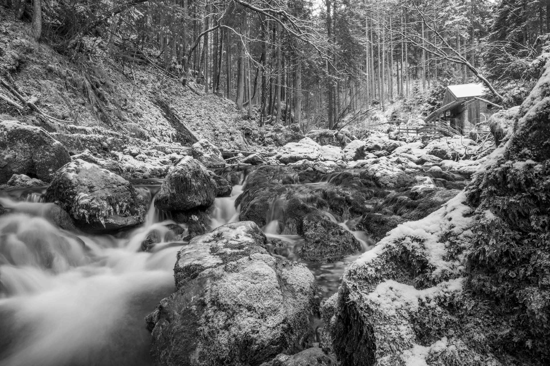 Franz Stiglbauer "Mühle am Bach"