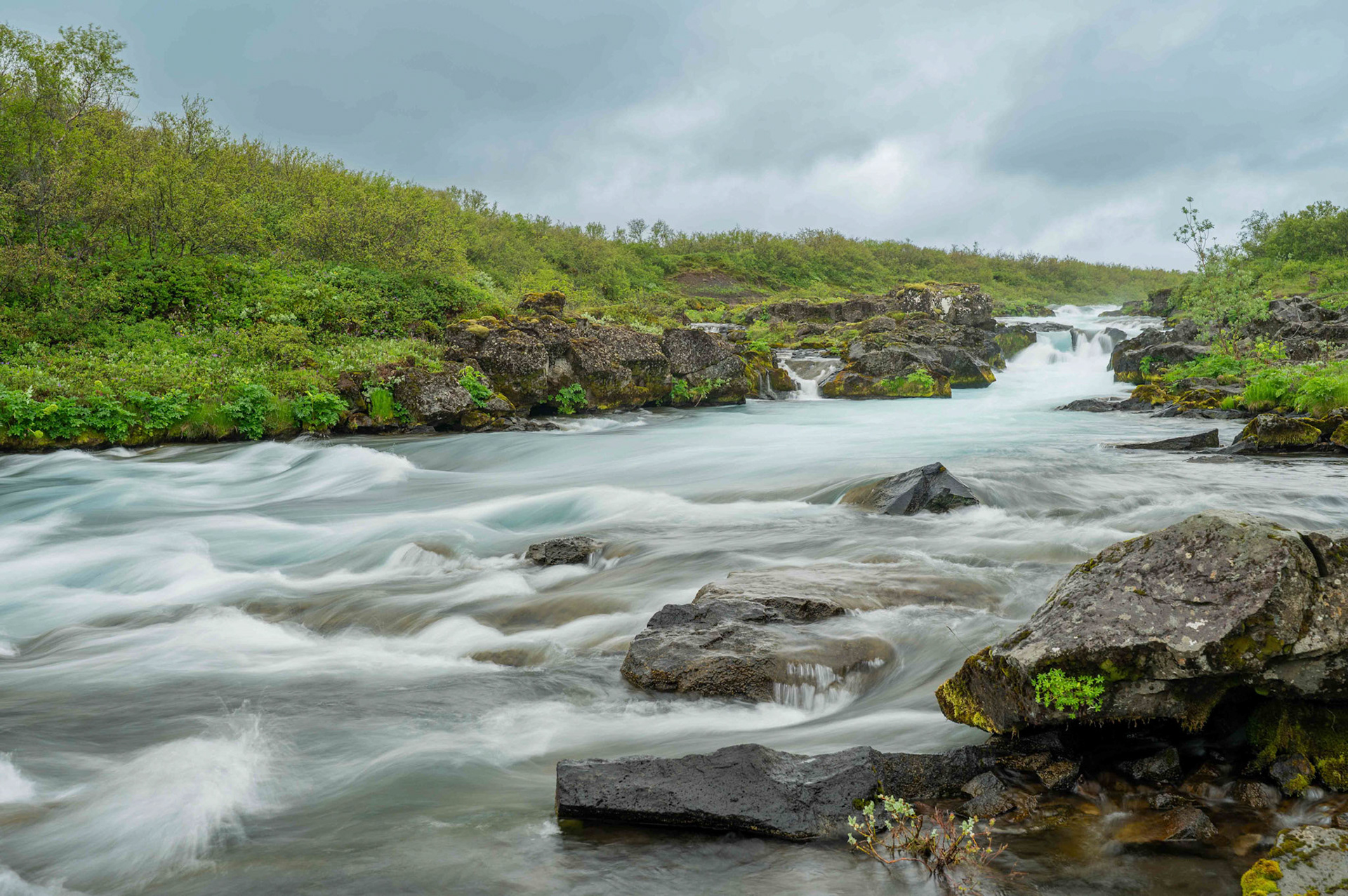 Midfoss