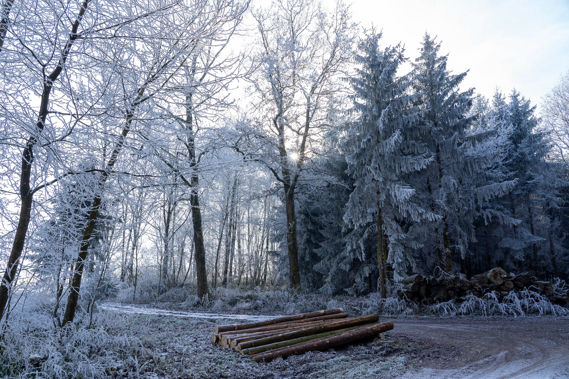 Winter im Wonderland von Markus Trausinger