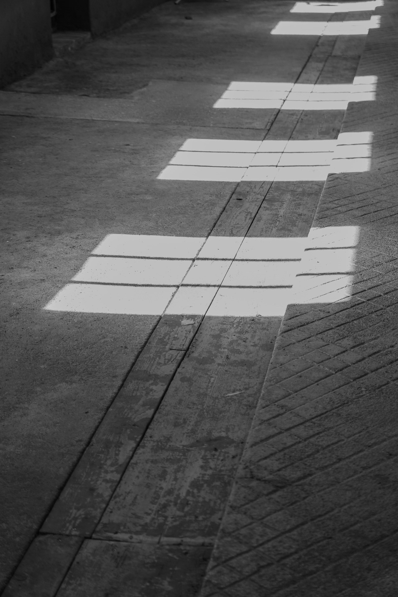 Markus  Trausinger "Linien"