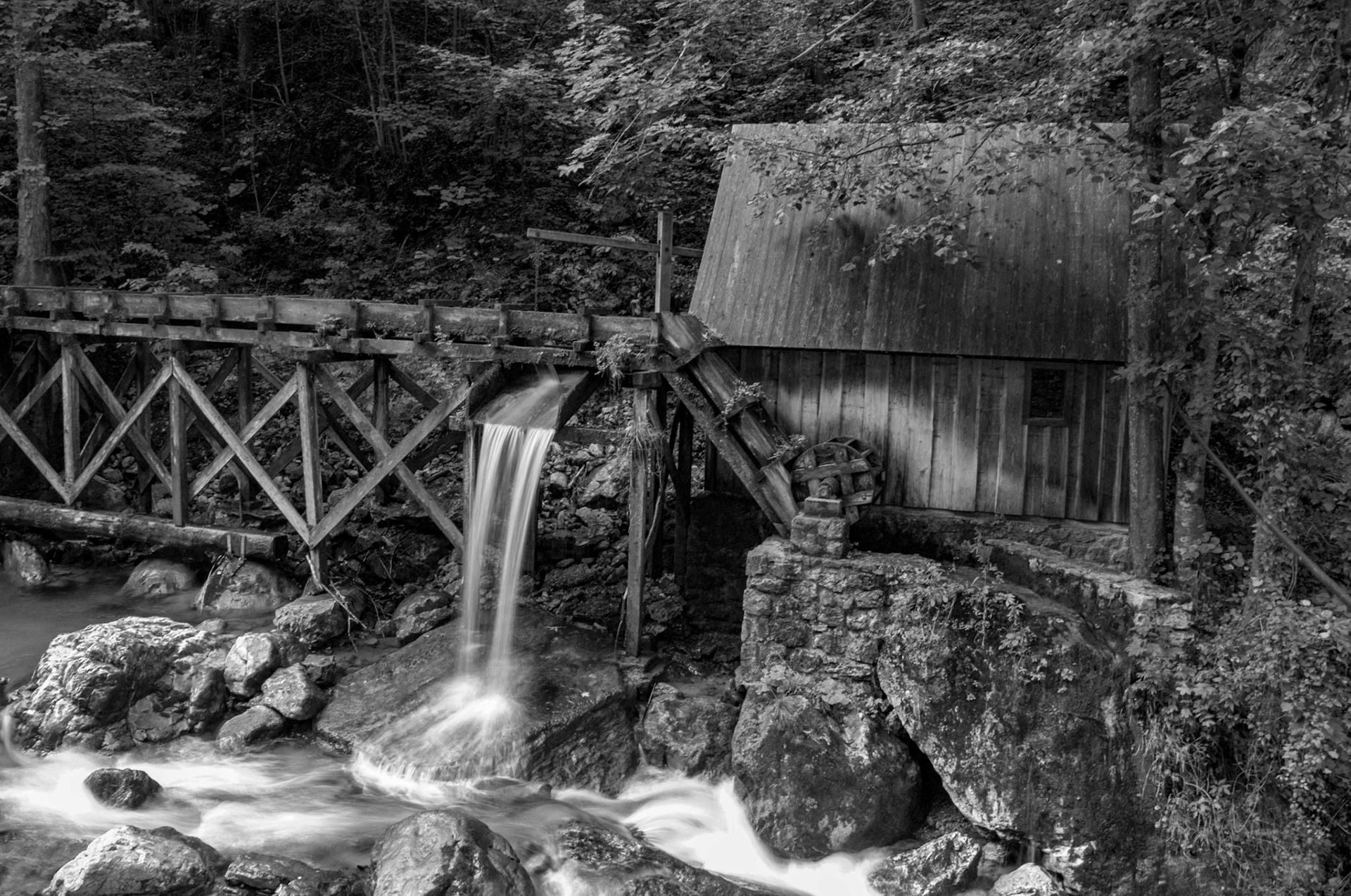 Franz Hebenstreit "Mühle am Wald"