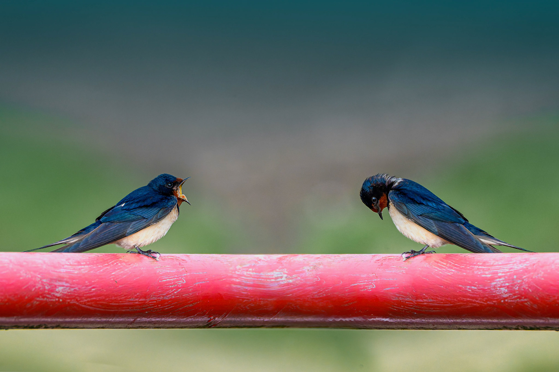 Gerhard Schneglberger "Standpauke"