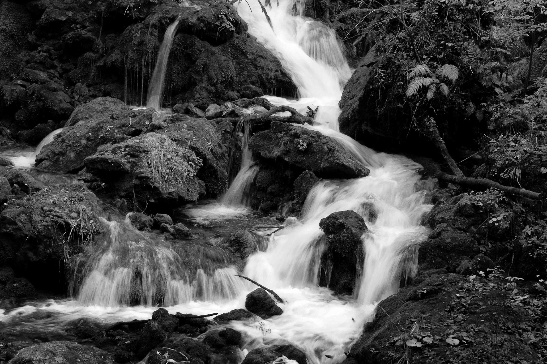 Walter Trausinger "fließendes Wasser"