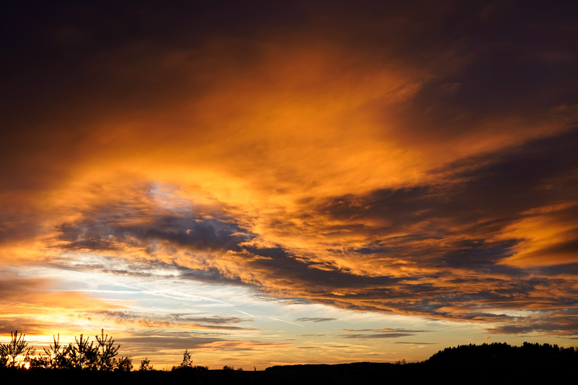 Markus  Trausinger "Independence Day"