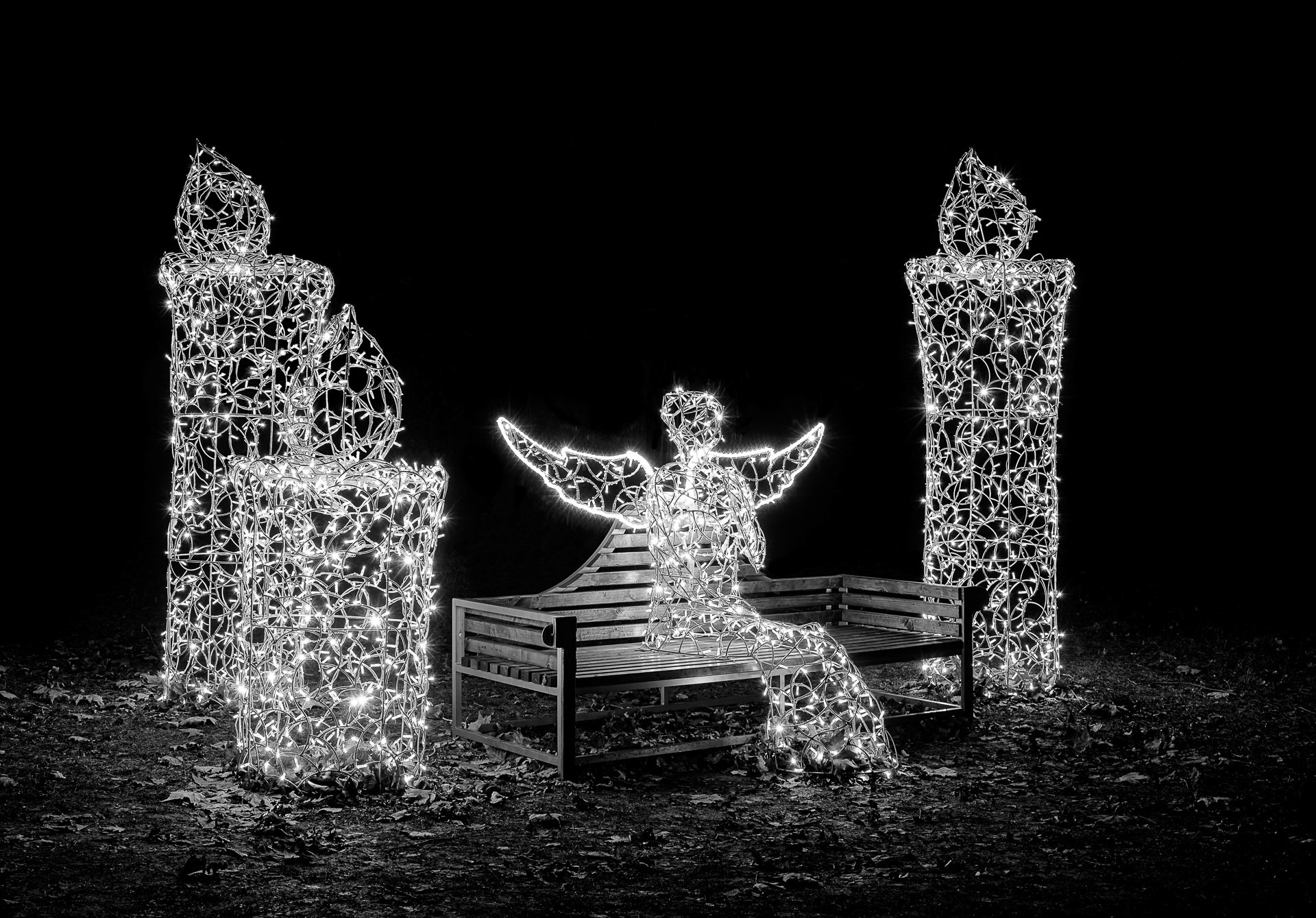 Gerhard  Schneglberger "Lichterpark"