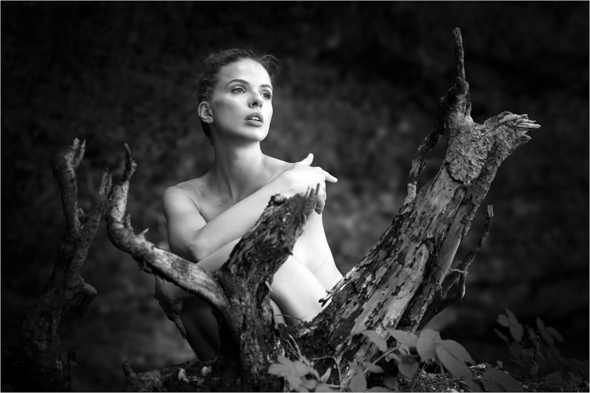 Walter  Trausinger "Monika"