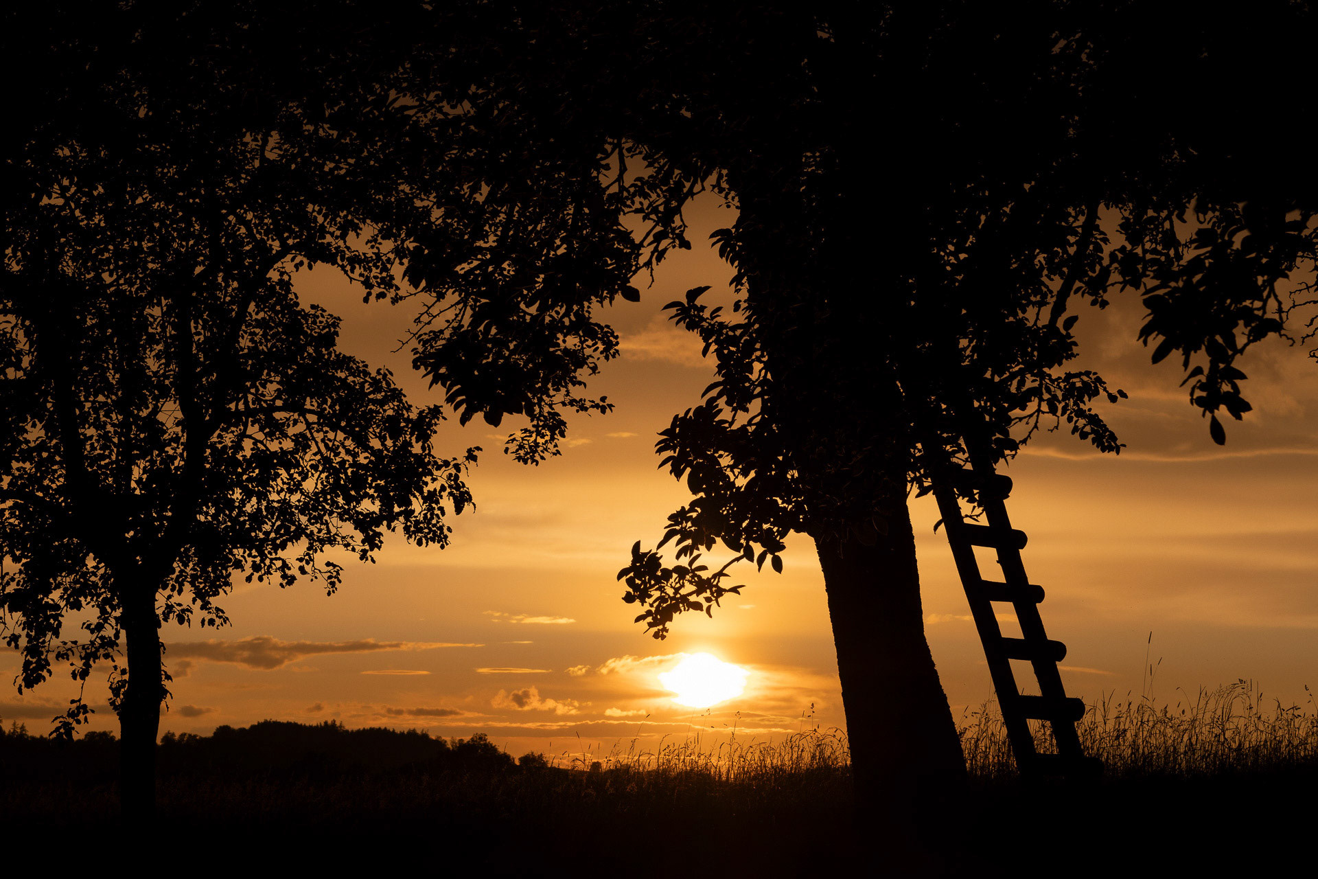 "Abendstimmung" von Klaus Pichler