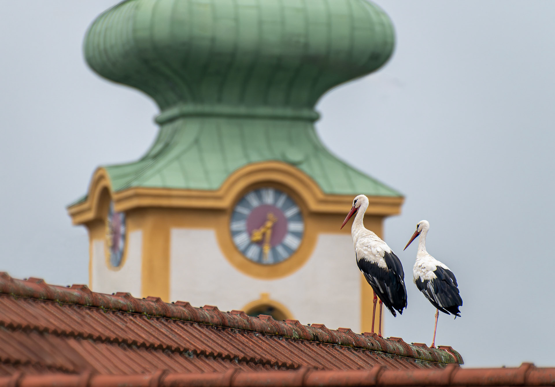 Gerhard  Schneglberger "Kirche fängt an"