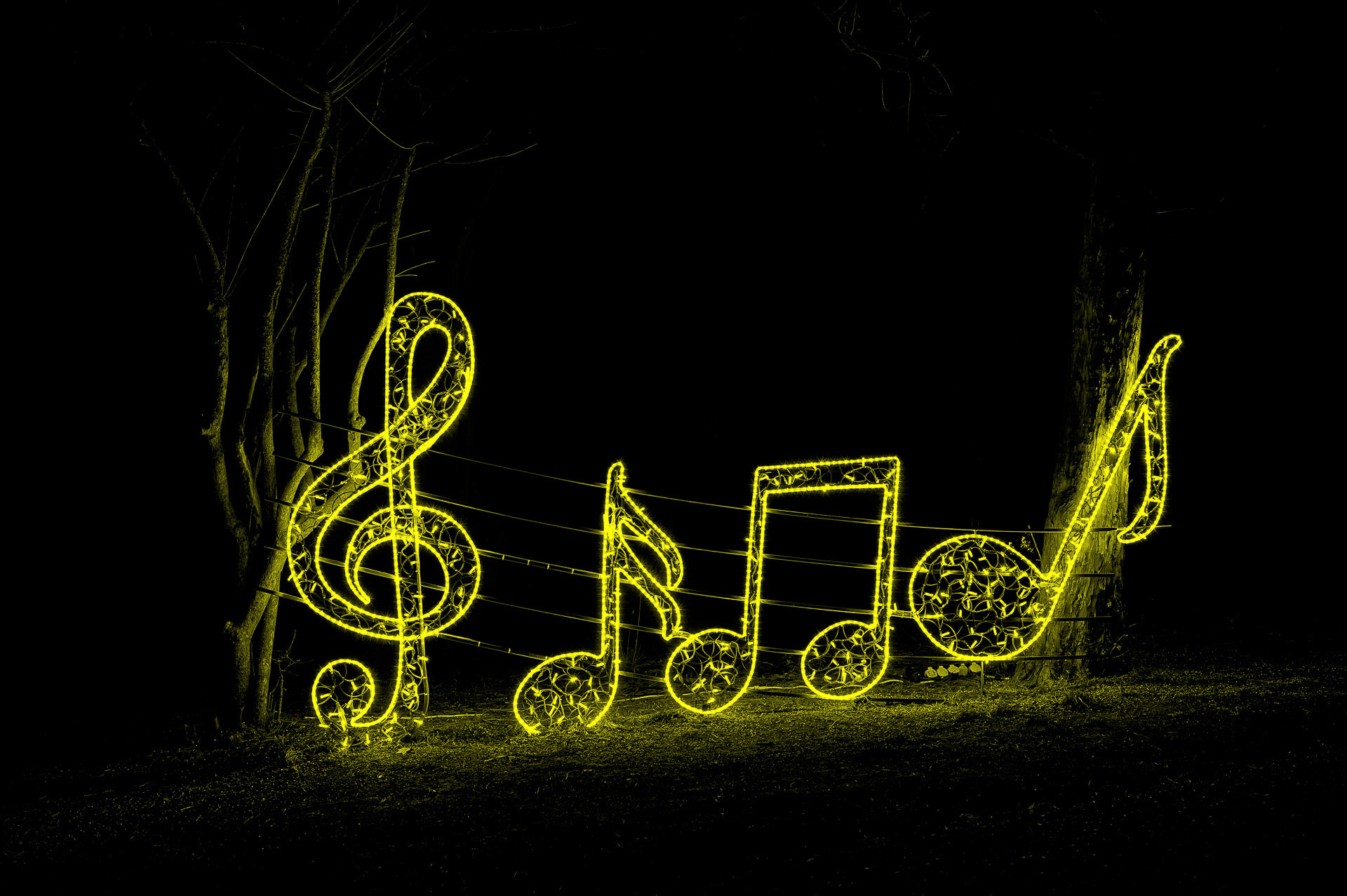 Gerhard  Schneglberger "Symphonie in Gelb"